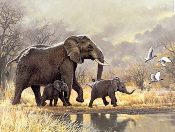 Elefant familie - 80*60 cm
